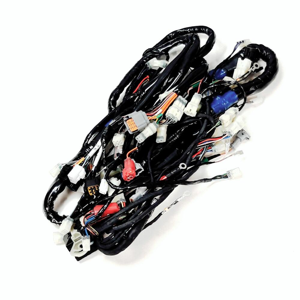 TGB WIRING HARNESS FOR W/O EPS - 926911
