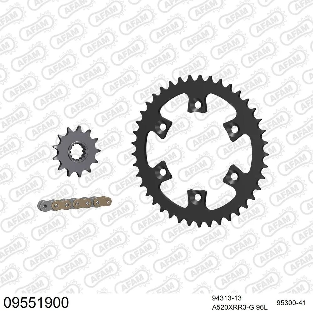 09551900 AFAM Kettensatz Stahl 520 XRR3-G 13x41 - Gasgas HP 450 Wild Quad 2004-06 - 09551900