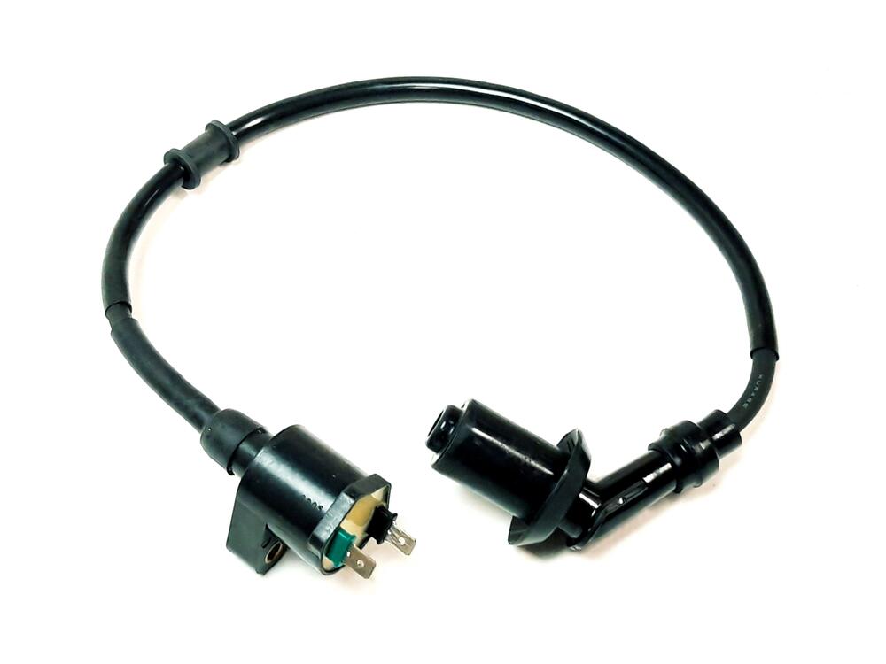 img-20231010-082224 TGB COIL ASSY, IGNITION - 441064