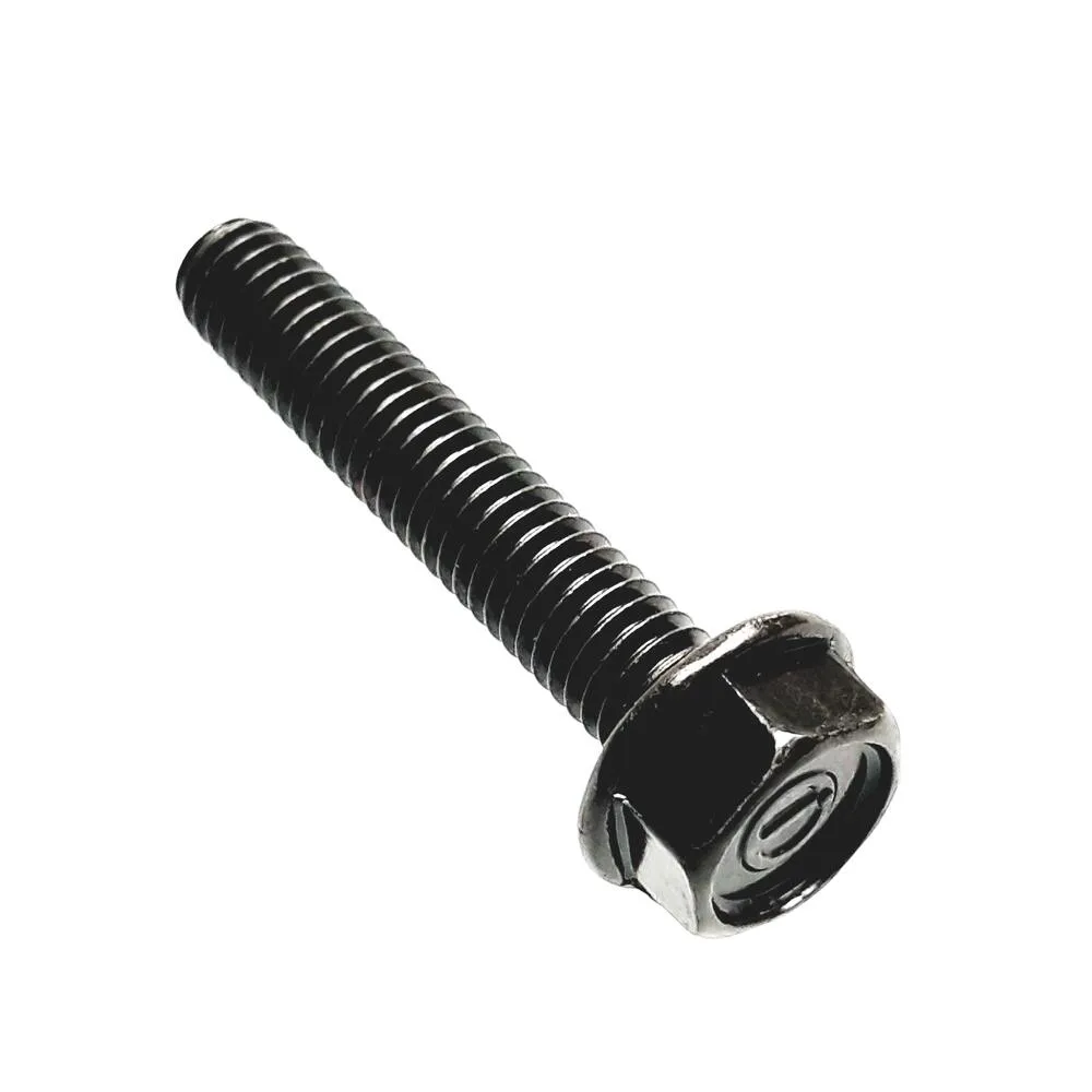 img-20210128-132916 TGB Schraube 6x32 - S20621