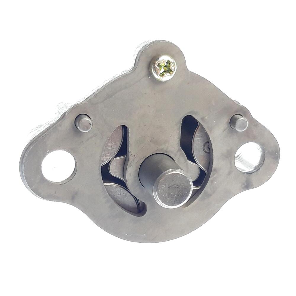 img-20201021-080421 TGB Ölpumpe kompl. - 923243