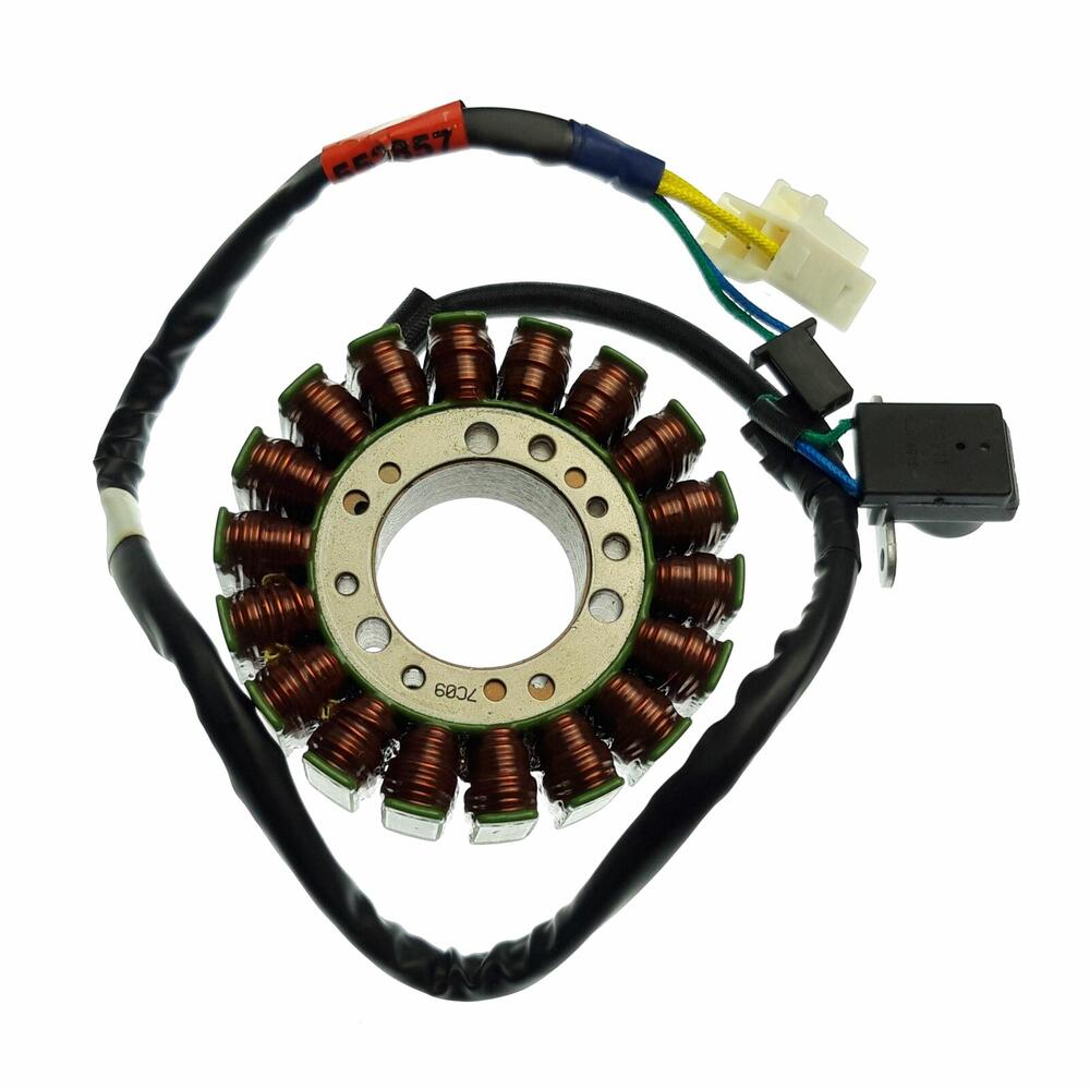 TGB Stator - 552857
