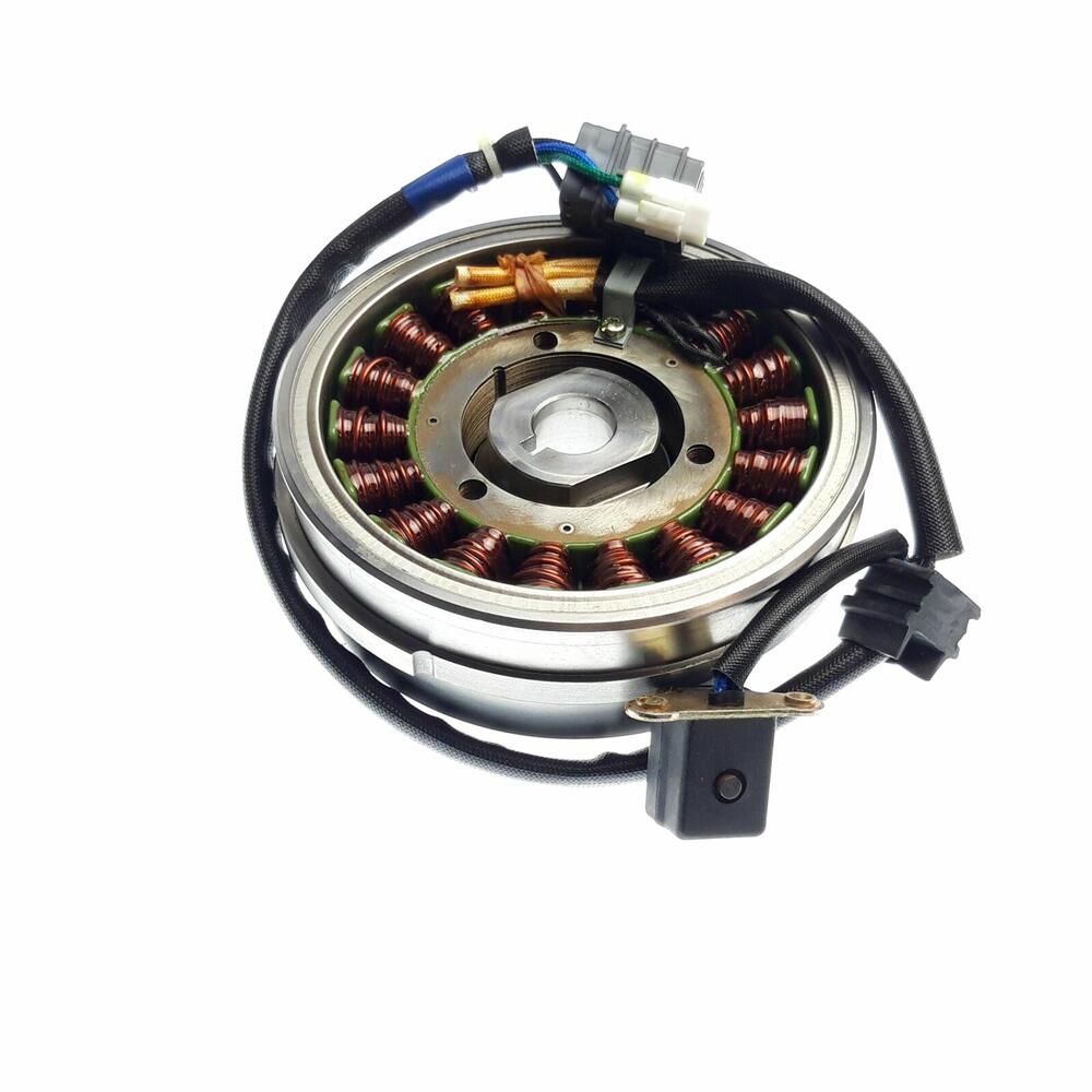 TGB ROTOR ASSY. - D9900039