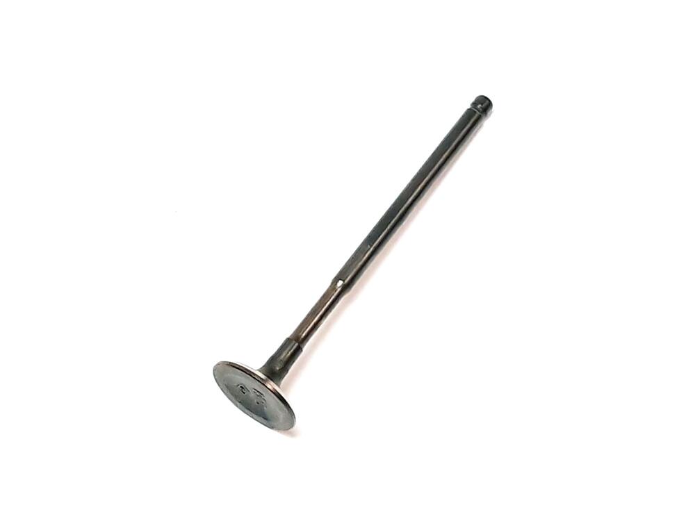 TGB Auslassventil - 923048