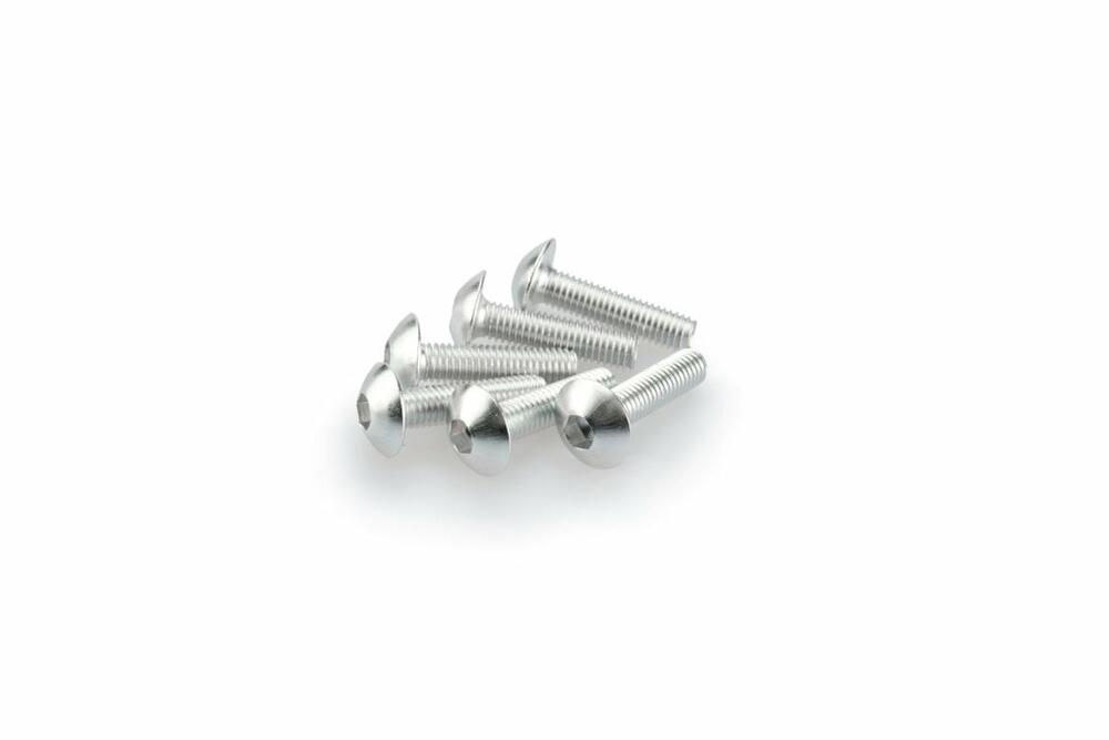 PUIG SCHRAUBEN-KIT (KUPPELFÖRMIG) M5X20MM. SILBER - 0550P
