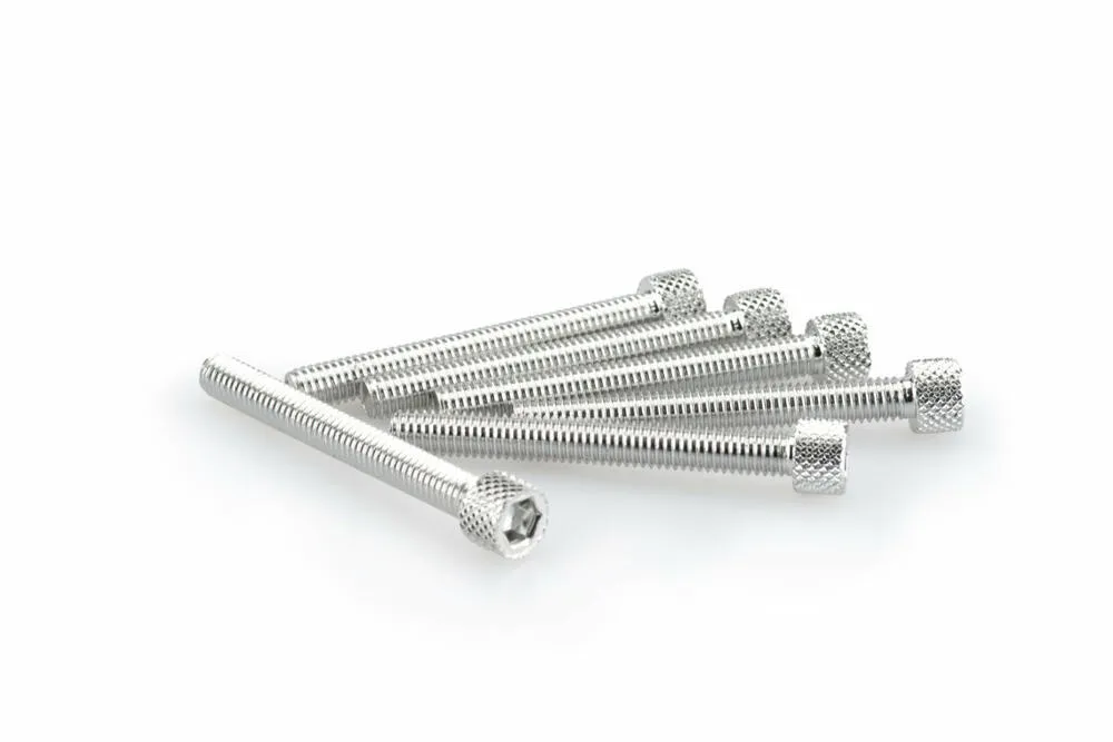 PUIG INBUS-SCHRAUBEN-KIT M6X50MM. SILBER - 0421P