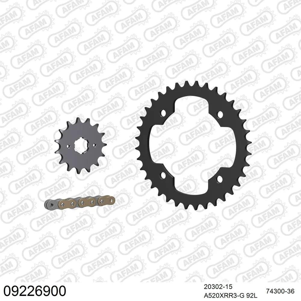 09226900 AFAM Kettensatz Stahl 520 XRR3-G 15x36 - TGB 250 Blade 2008-09 - 09226900