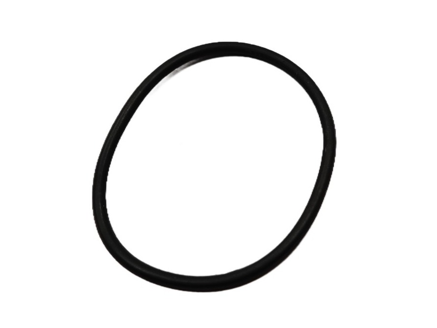 SWM O-Ring - M000P01454