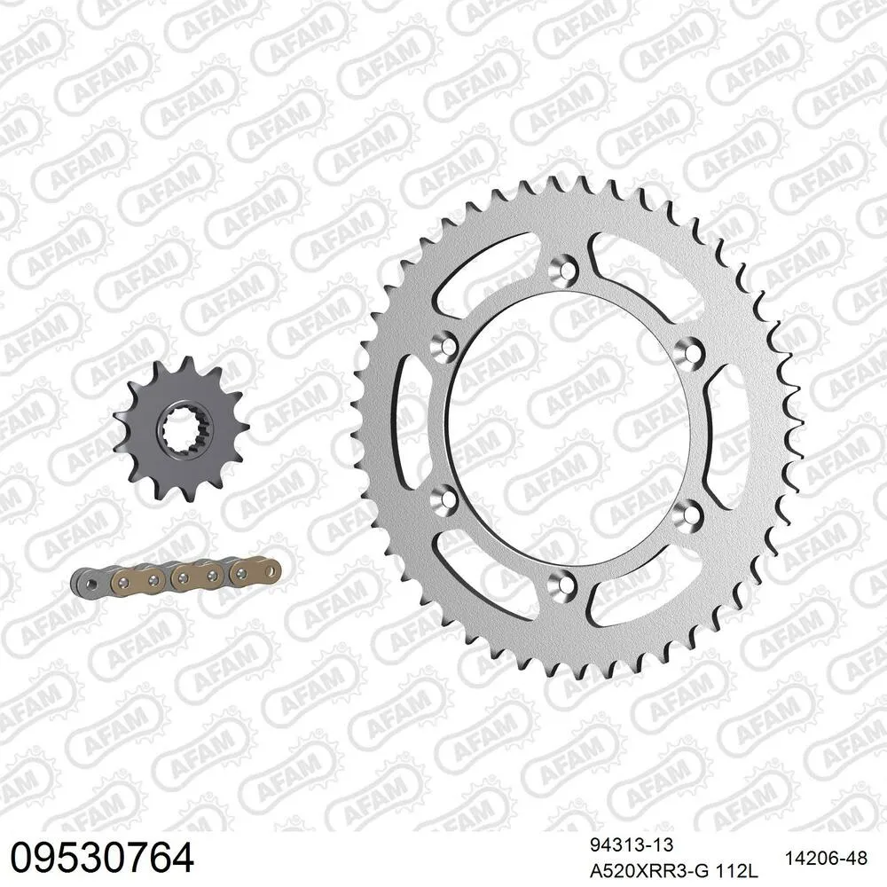 09530764 AFAM Kettensatz Stahl 520 XRR3-G 13x48 - Gasgas EC 300 E4 2018-20 - 09530764
