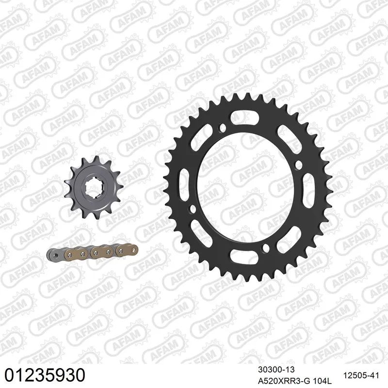 01235930 AFAM Kettensatz Stahl 520 XRR3-G 13x41 - Yamaha YZ 350 Banshee 1987-88 - 01235930