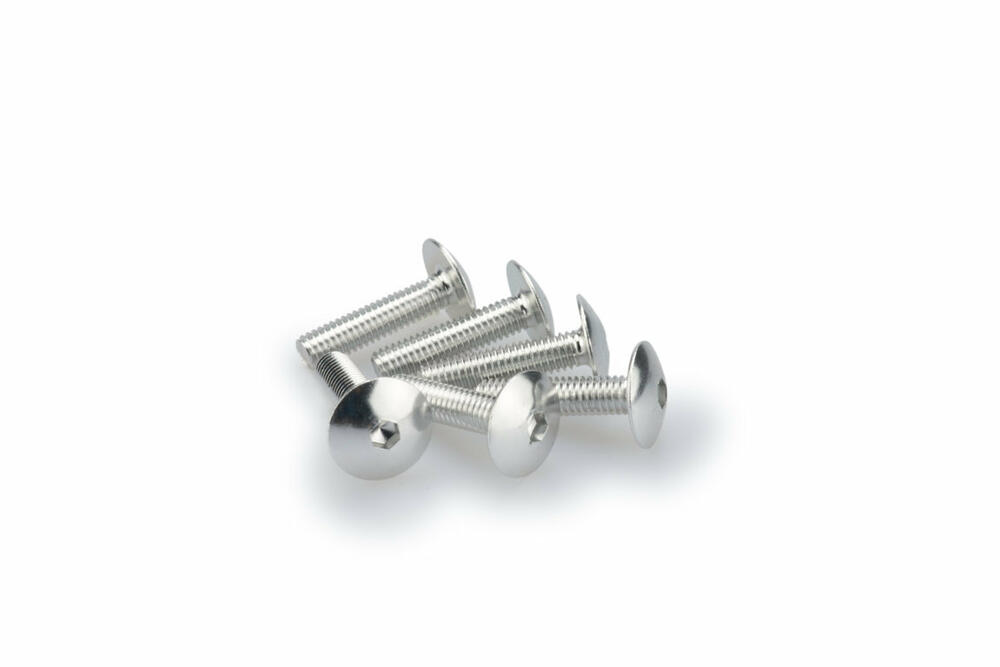 defaultUBve9Ahgdz6xM PUIG SCHRAUBEN-KIT (KUPPELFÖRMIG) M6X25MM. SILBER - 0689P