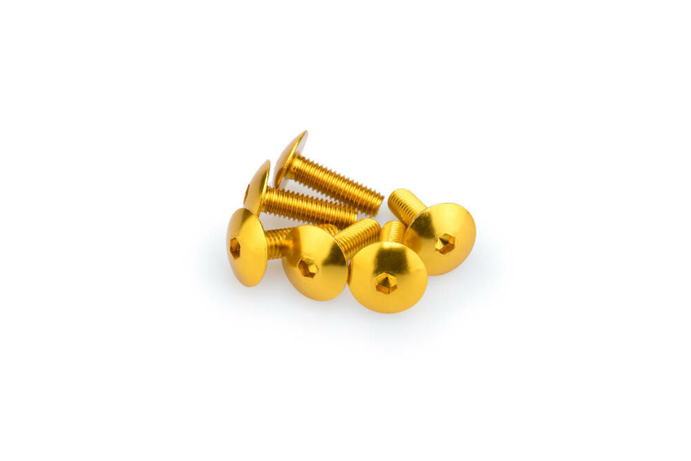 PUIG SCHRAUBEN-KIT (KUPPELFÖRMIG) M6X20MM. GOLD - 0657G