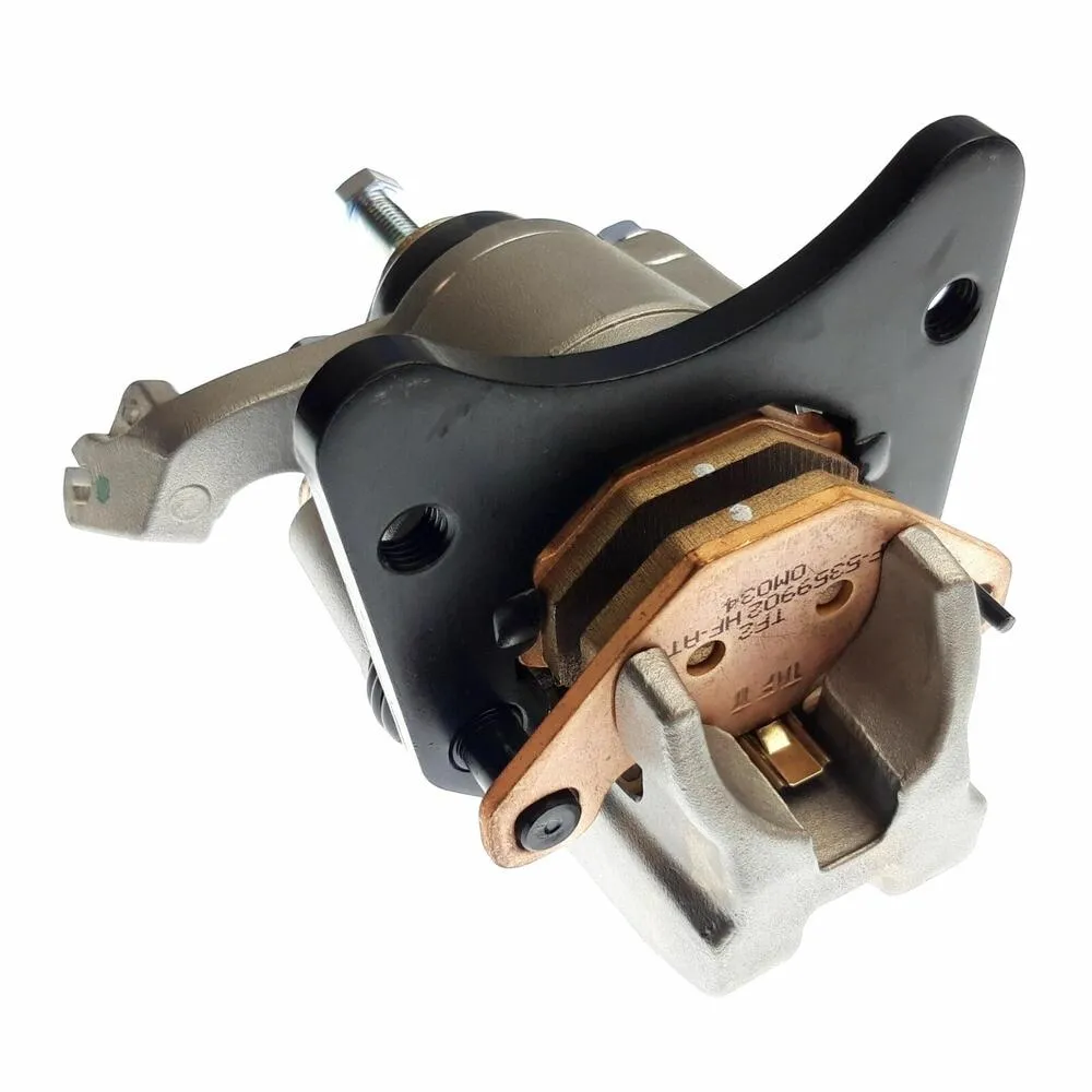 img-20210525-144239 TGB CALIPER, REAR - 517829