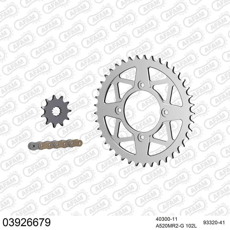 AFAM Kettensatz Aluminium 520 MR2-G 11x41 - Beta Rev 3 250 2006-08 - 03926679