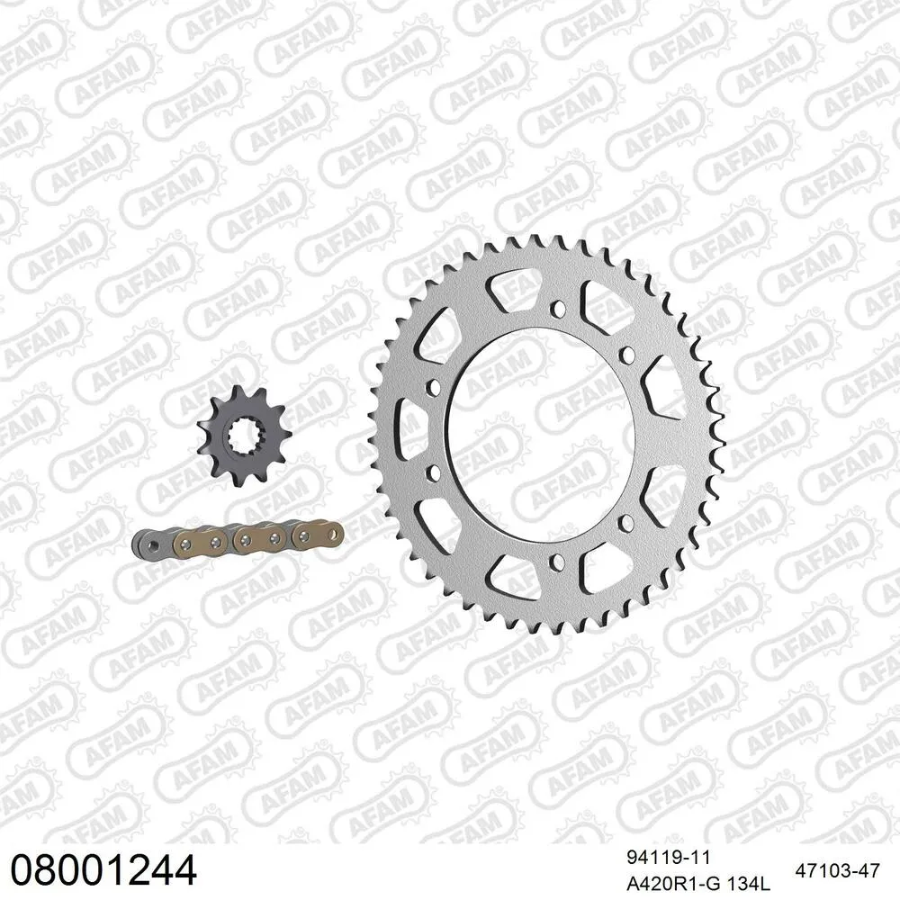 08001244 AFAM Kettensatz Stahl 420 R1-G 11x47 - Rieju RS 50 Sport 2011-21 - 08001244