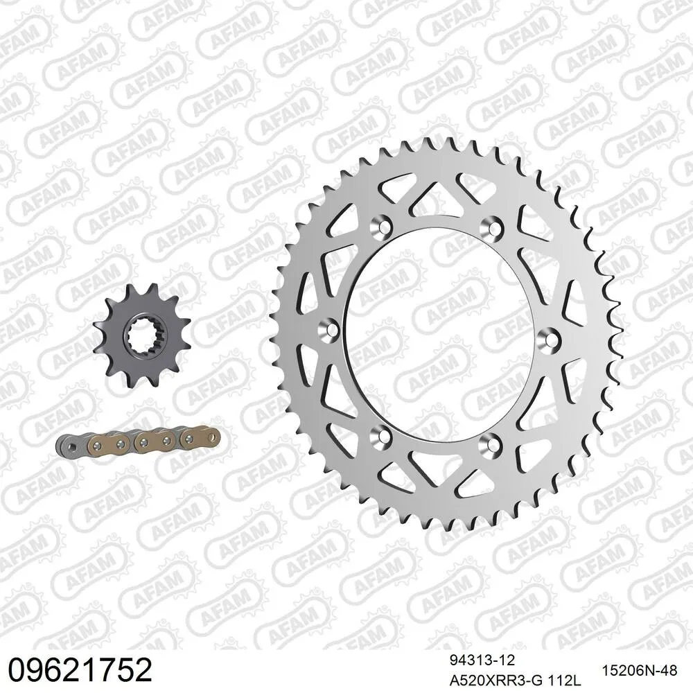 09621752 AFAM Kettensatz Aluminium 520 XRR3-G 12x48 - Gasgas EC 200 2003-17 - 09621752
