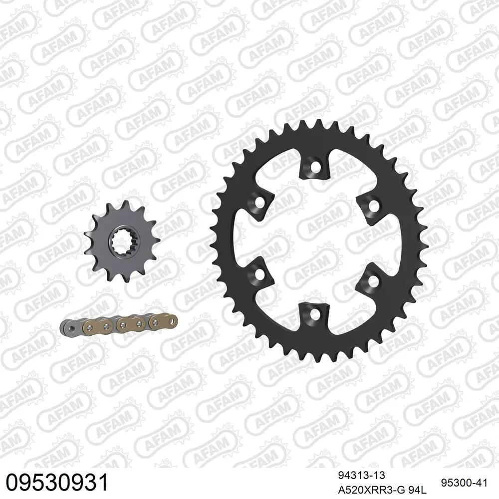 09530931 AFAM Kettensatz Stahl 520 XRR3-G 13x41 - Gasgas HP 300 RV Wild Quad 2003-06 - 09530931