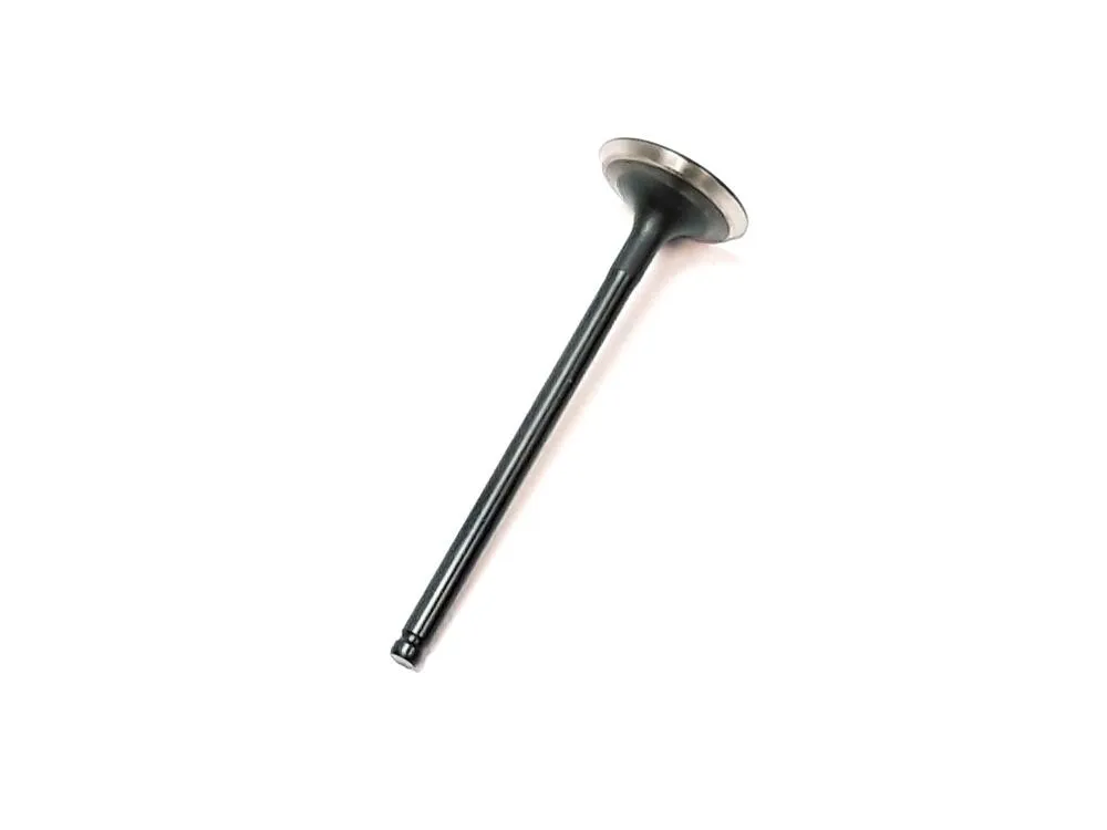 img-20221114-133710 TGB Auslassventil - 910284