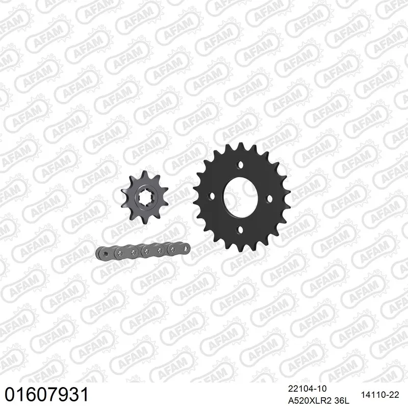 01607931 AFAM Kettensatz Stahl 520 XLR2 10x22 - Kawasaki KFX 80 2003-06 - 01607931