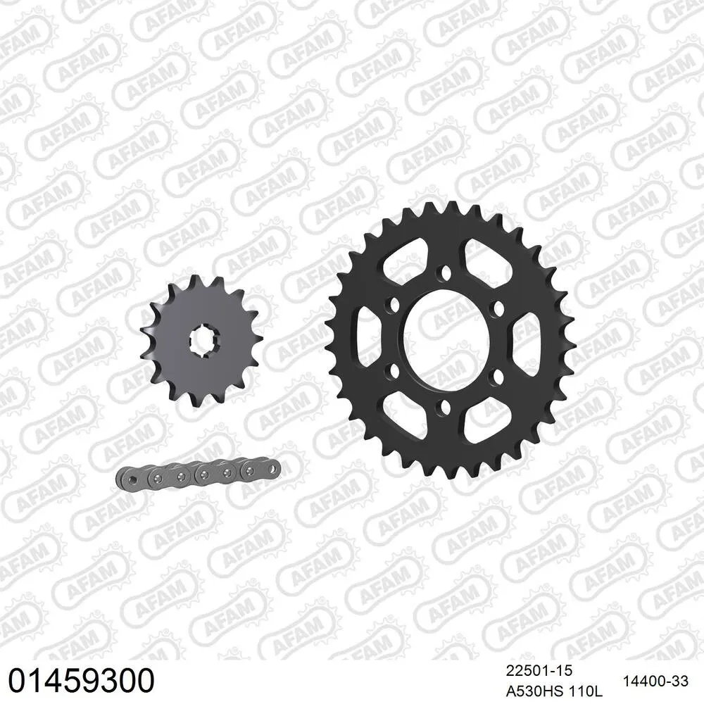 01459300 AFAM Kettensatz Stahl 530 HS 15x33 - Suzuki GT 500 1976-77 - 01459300