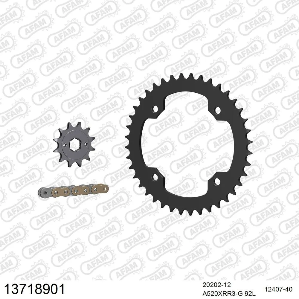 13718901 AFAM Kettensatz Stahl 520 XRR3-G 12x40 - SMC 170 Inverse Blast / Xroad 2005-06 - 13718901