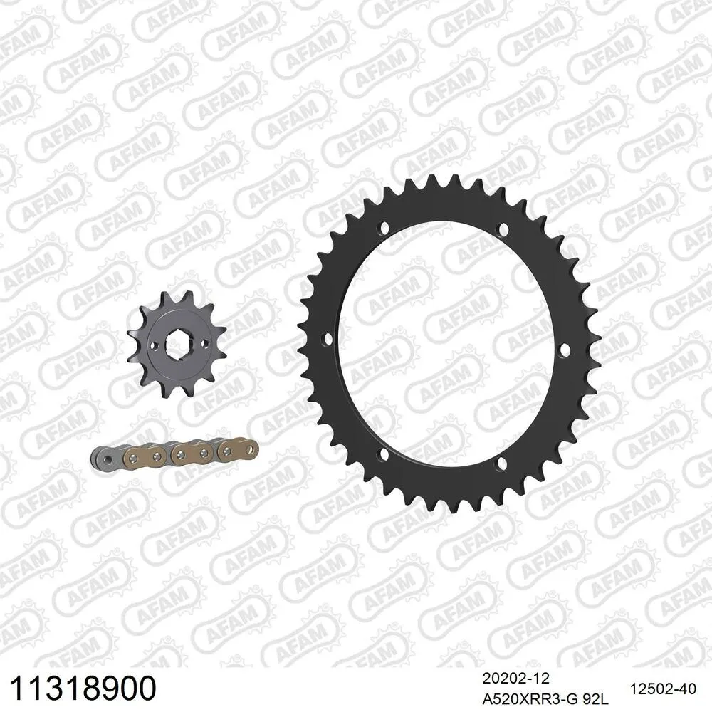 AFAM Kettensatz Stahl 520 XRR3-G 12x40 - Barossa 170 Baja 2003-06 - 11318900