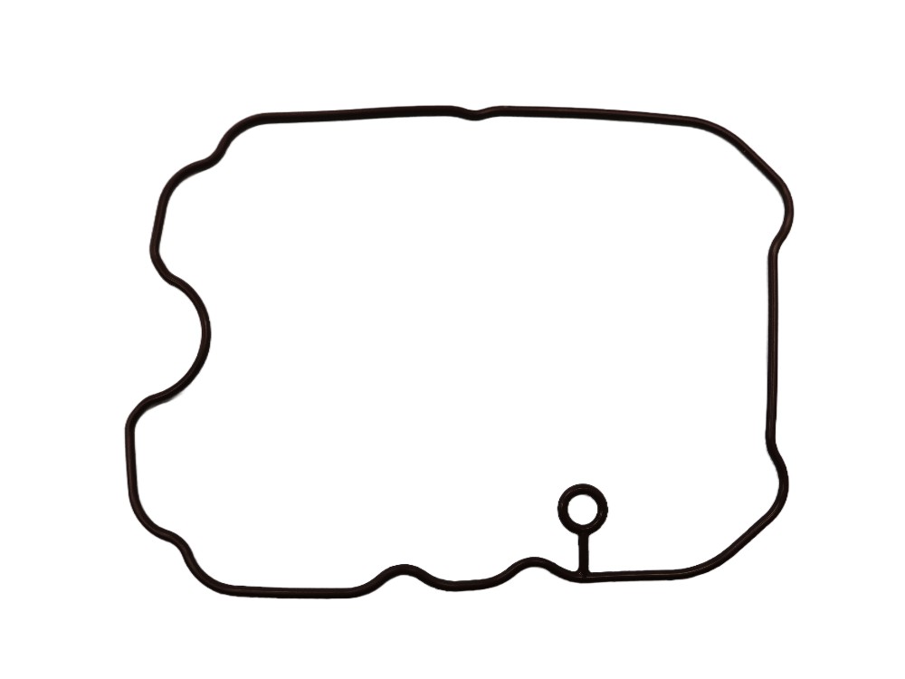 QJ Motor Ventildeckeldichtung - 109026590000