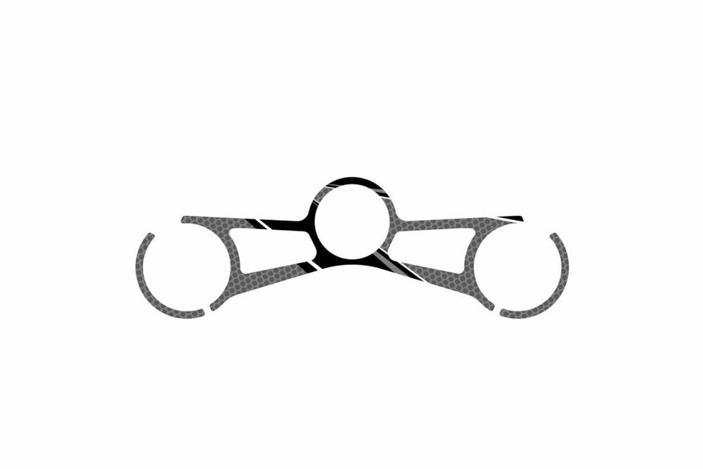 PUIG GABELBRÜCKEN-PROTEKTOR RADIKAL BMW S1000RR 19' C/G - 3710U