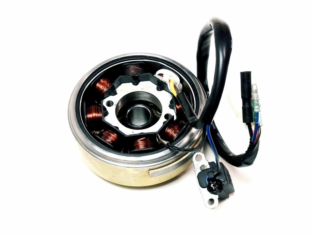 TGB FLYWHEEL MAGNETO ASSY - 440987