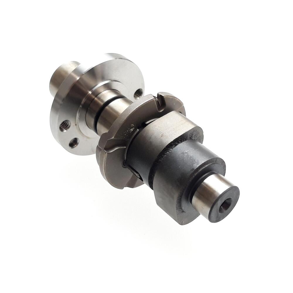 TGB CAM SHAFT SET - 925254