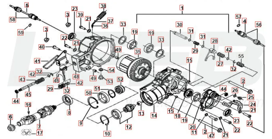 Differenzial vorne Differenzial vorne