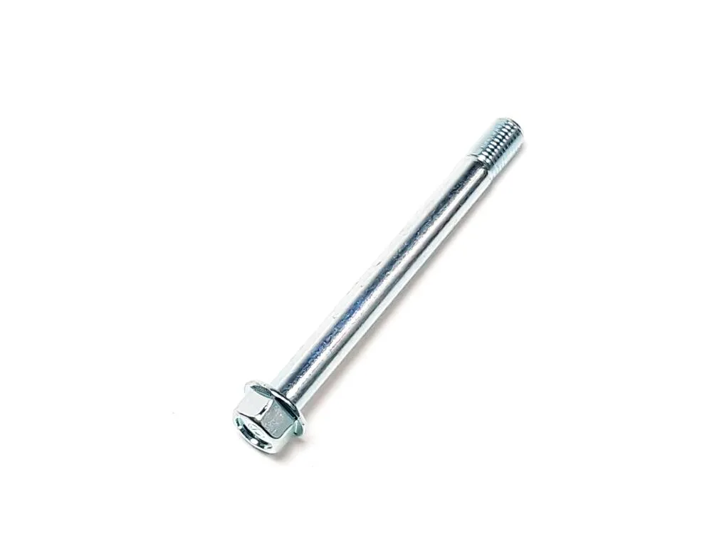 img-20231114-130303 TGB Schraube M10x1.25x100L - S20039