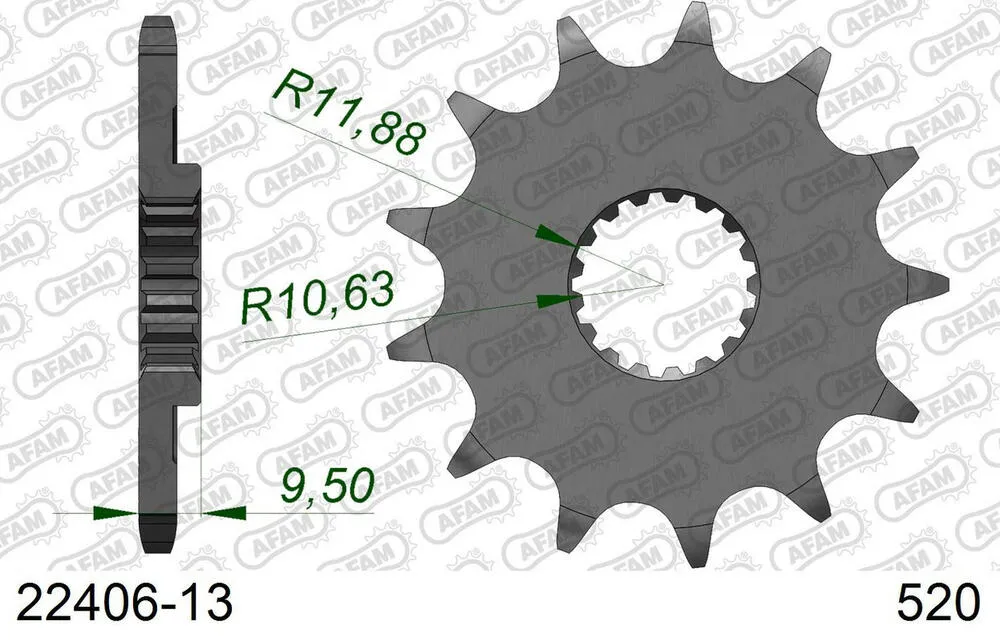 AFAM Kettensatz Stahl 520 XRR3-G 13x51 - Suzuki RM-X 450 Z 2010-17 - SL01451700