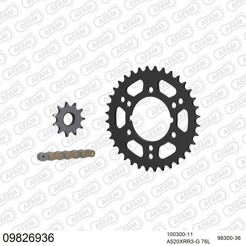 AFAM Kettensatz Stahl 520 XRR3-G 11x36 - Polaris 250 Trail Blazer 2001-06 - 09826936