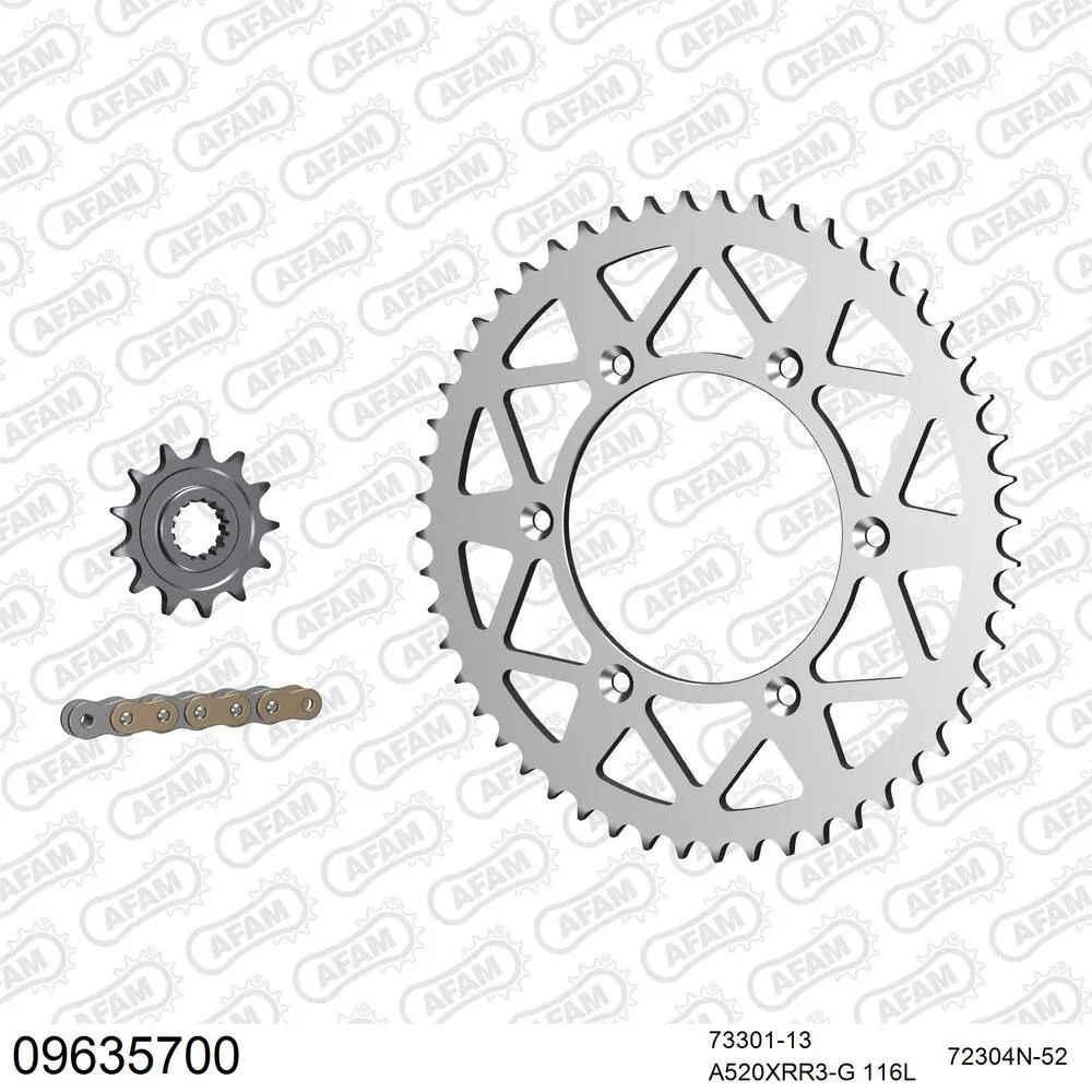 AFAM Kettensatz Aluminium 520 XRR3-G 13x52 - Gasgas EC 350 F 2021-24 - 09635700