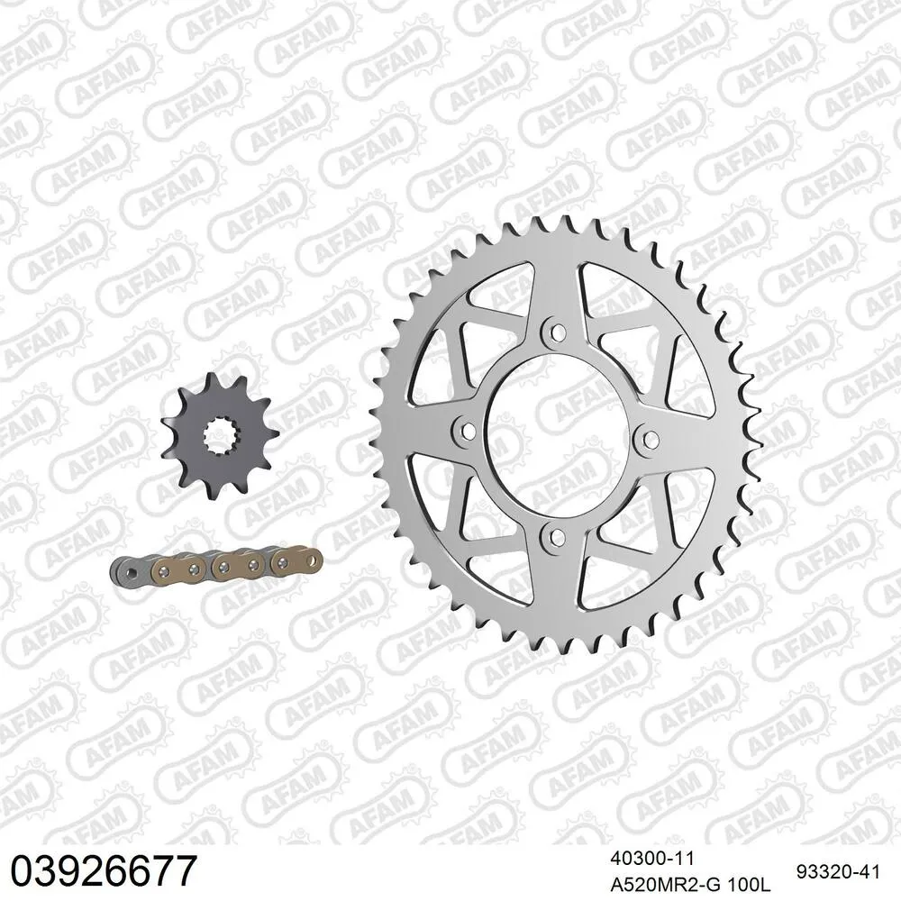 AFAM Kettensatz Aluminium 520 MR2-G 11x41 - Beta Rev 3 250 2003-04 - 03926677