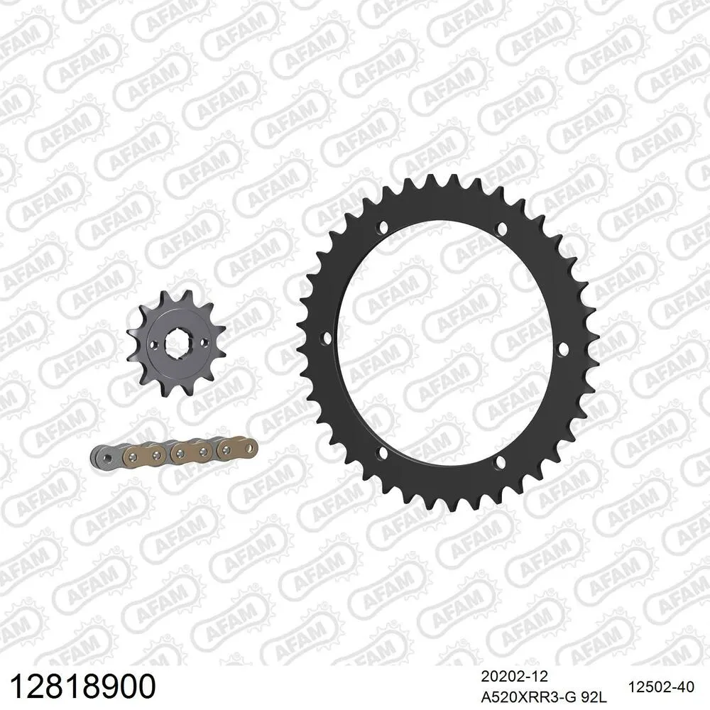 12818900 AFAM Kettensatz Stahl 520 XRR3-G 12x40 - Triton Adventurer 170 Adventurer 2003 - 12818900