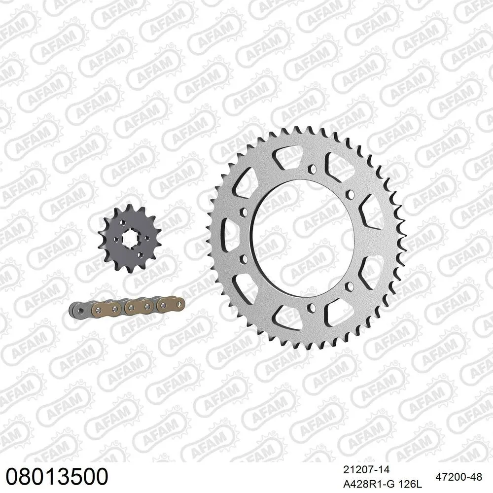 08013500 AFAM Kettensatz Stahl 428 R1-G 14x48 - Rieju 125 Tango 2006-21 - 08013500