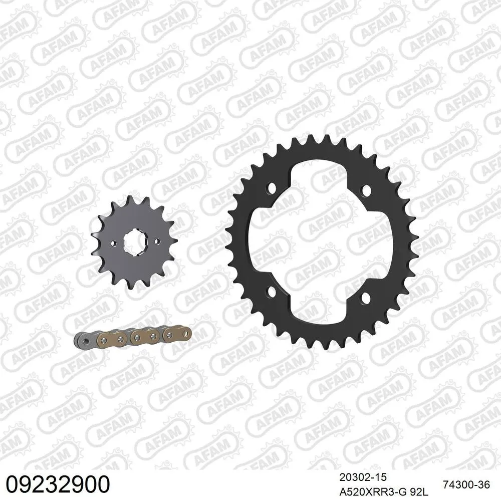AFAM Kettensatz Stahl 520 XRR3-G 15x36 - TGB 325 Target 2009-12 - 09232900