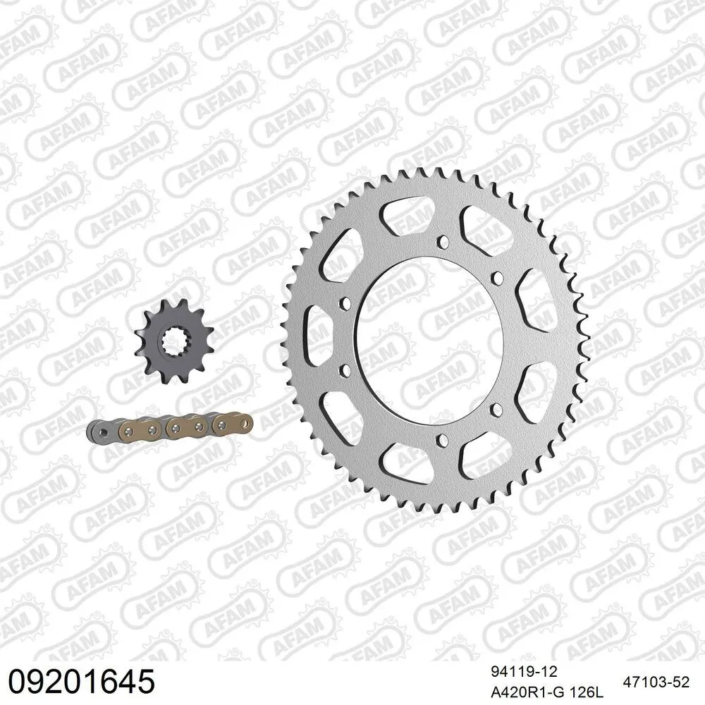 09201645 AFAM Kettensatz Stahl 420 R1-G 12x52 - Peugeot XP6 50 SM 2002-03 - 09201645