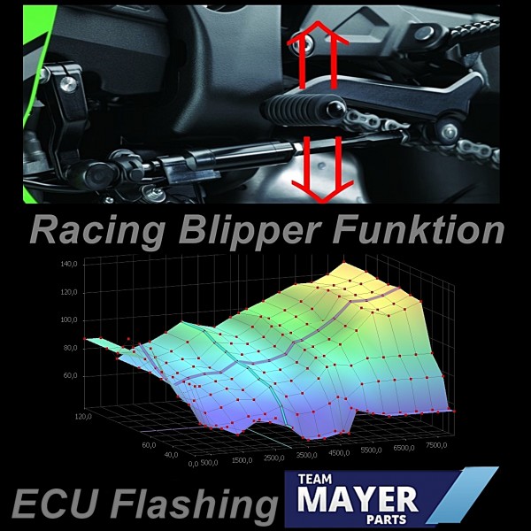 ECU Flashing Race Kennfeldbearbeitung + Blipper Kawasaki ZX10R Ninja 2016-18